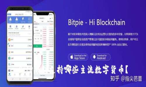 BitP钱包支持哪些主流数字货币？